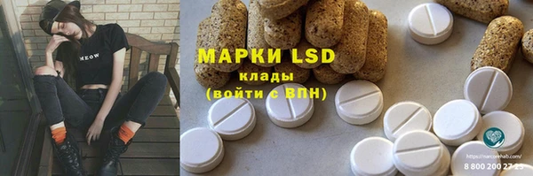 ECSTASY Вяземский