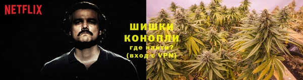 МДПВ Вязьма