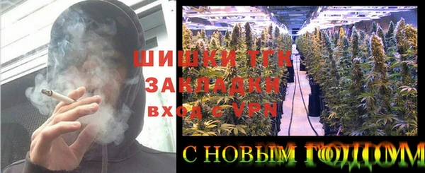 МДПВ Вязьма