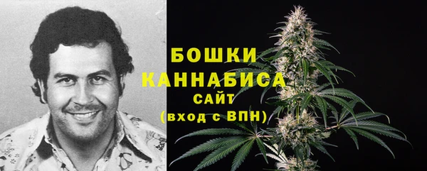 ECSTASY Вяземский